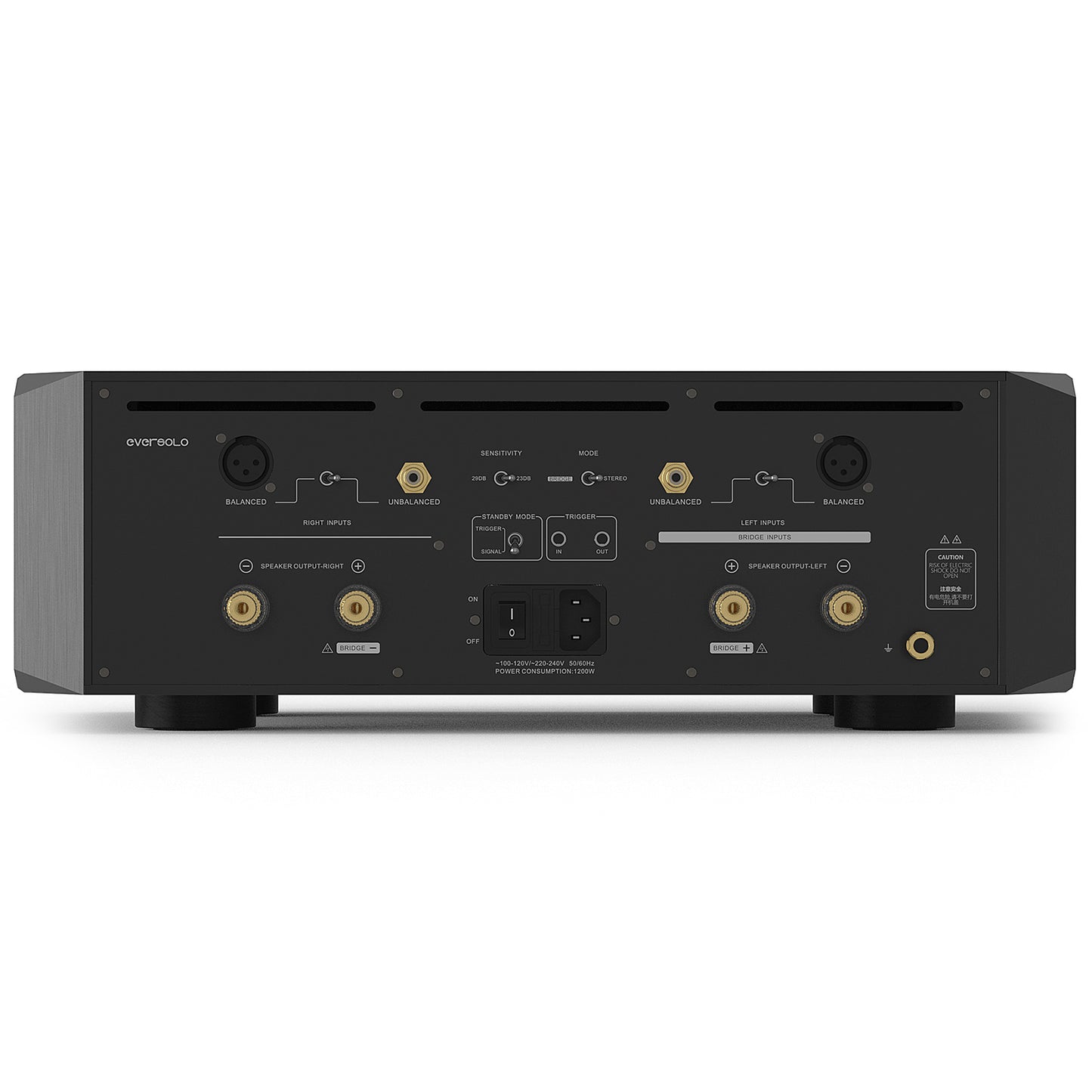 EverSolo AMP-F10 (B-Ware)