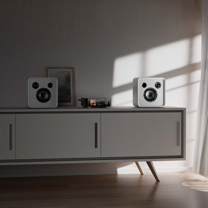 Eversolo SE100 Regal Lautsprecher - weiß