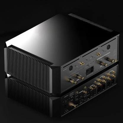 EverSolo AMP-F10 (B-Ware)