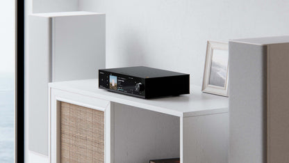 Eversolo DMP-A8 Gen 2 Anschlüsse Rückseite