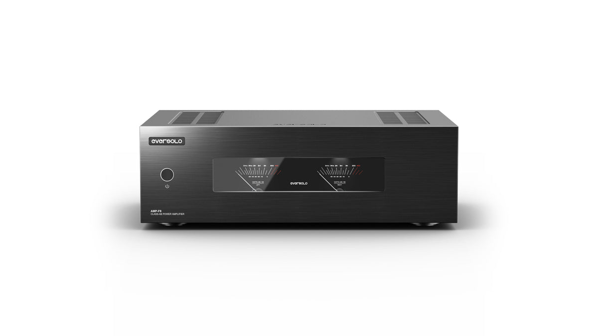 EverSolo AMP-F8 Frontansicht