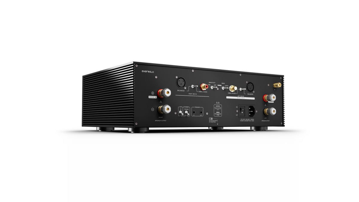 EverSolo AMP-F8 Rückseite mit Anschlüssen