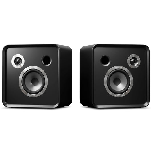 Eversolo SE100 Regal Lautsprecher